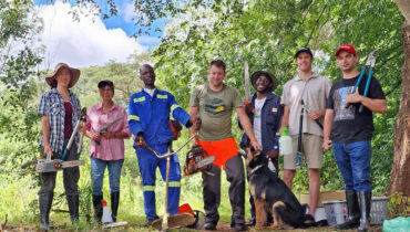 A team of local residents clearing invasive plant species at Greystone Park Nature Preserve using Husqvarna chainsaws and brushcutters