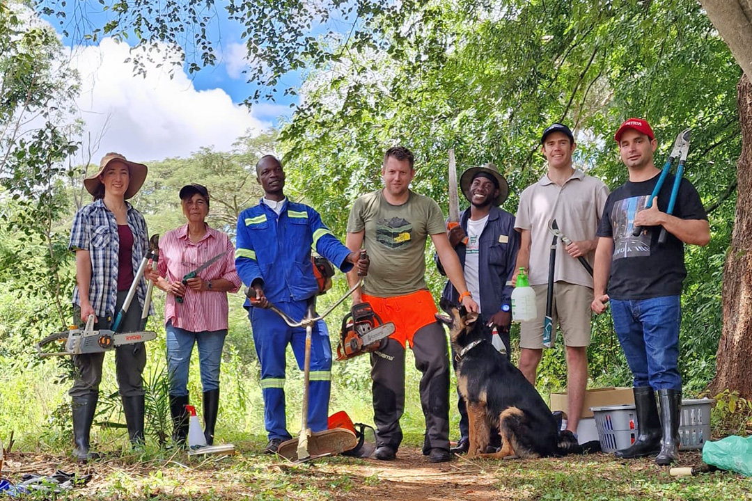 A team of local residents clearing invasive plant species at Greystone Park Nature Preserve using Husqvarna chainsaws and brushcutters