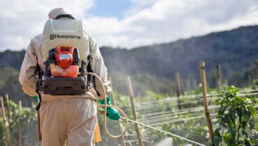 A farm worker wearing a Husqvarna sprayer on his back while he sprays a crop with an organic solution.