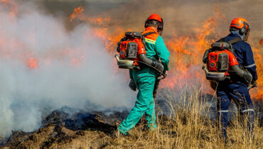 Two men using Husqvarna blowers for firefighting on a farm in Zimbabwe.