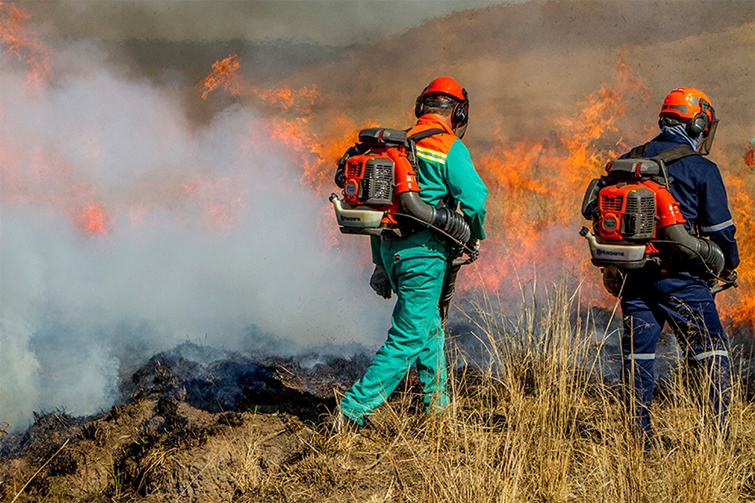 Two men using Husqvarna blowers for firefighting on a farm in Zimbabwe.