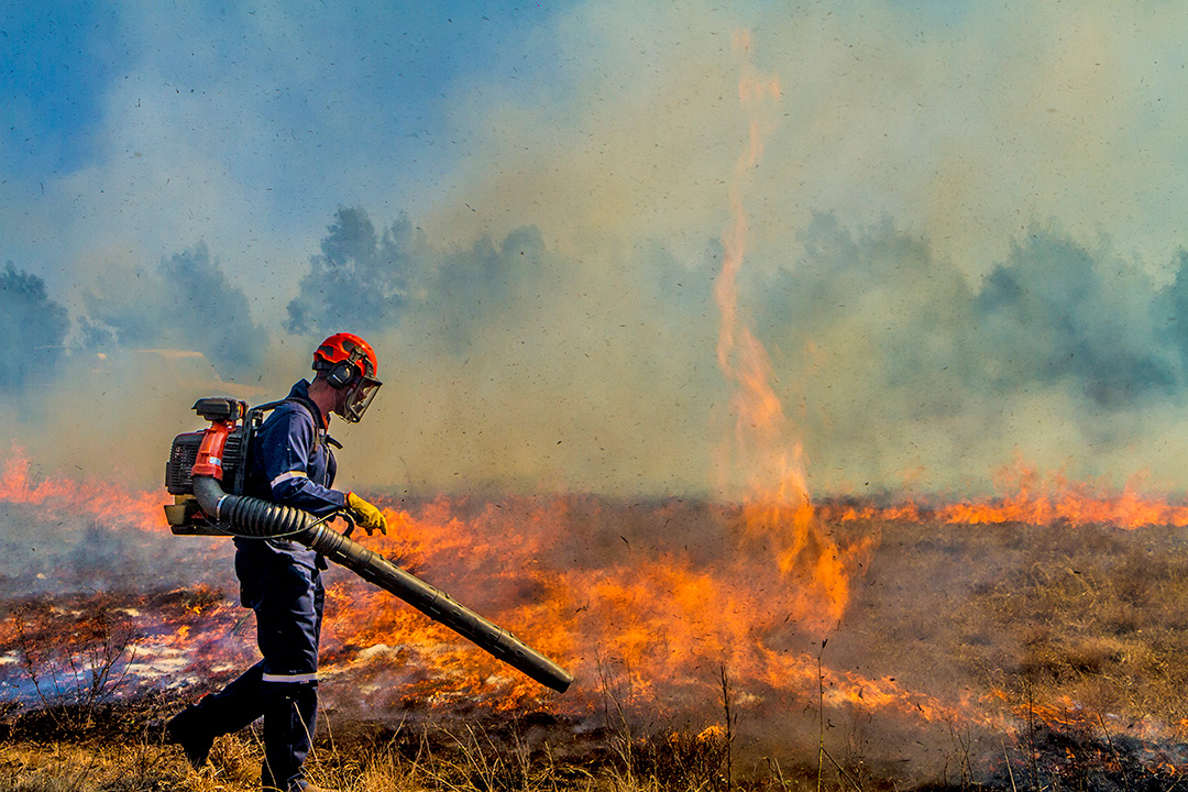 A man walking through a burning field using a Husqvarna blower as a firefighting tool.