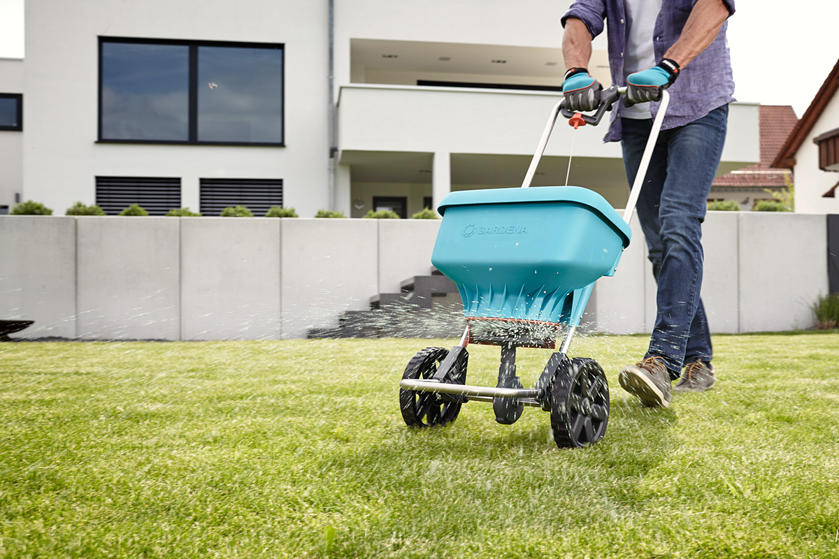 A man pushing a GARDENA Fertiliser Spreader to dispense granulated fertiliser on his green lawn.