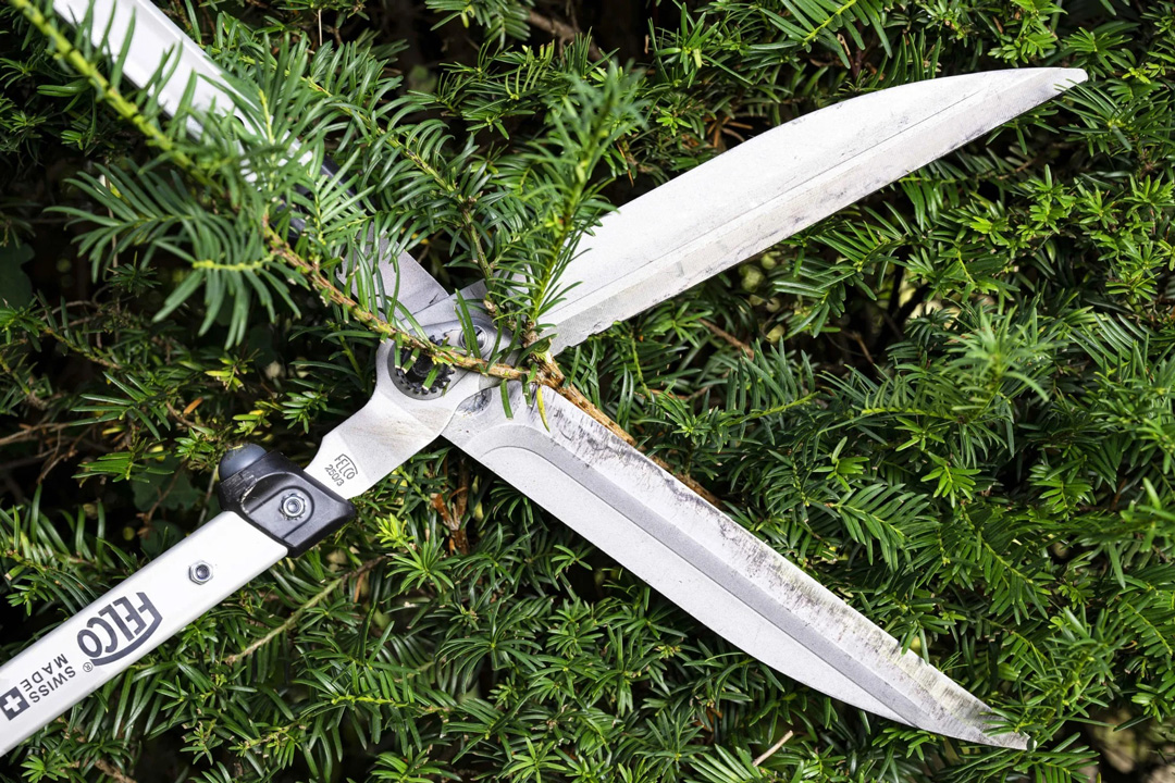 Felco pruning products for macadamias and avocados in Zimbabwe. Loppers, Pole Saws, secateurs